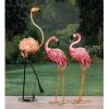 Bright Flamingo Yard Art - Looking Back